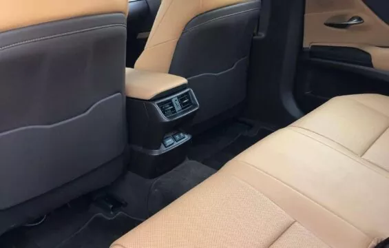 LEXUS ES 300H luxury business interior covered in flesh-colored leather