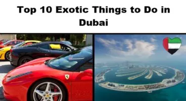 Top 10 Exotic Things to Do in Dubai